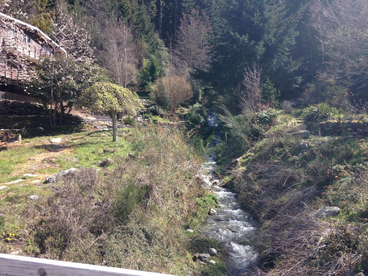 Mountain Creek Vacation Otel Queenstown Dış mekan fotoğraf