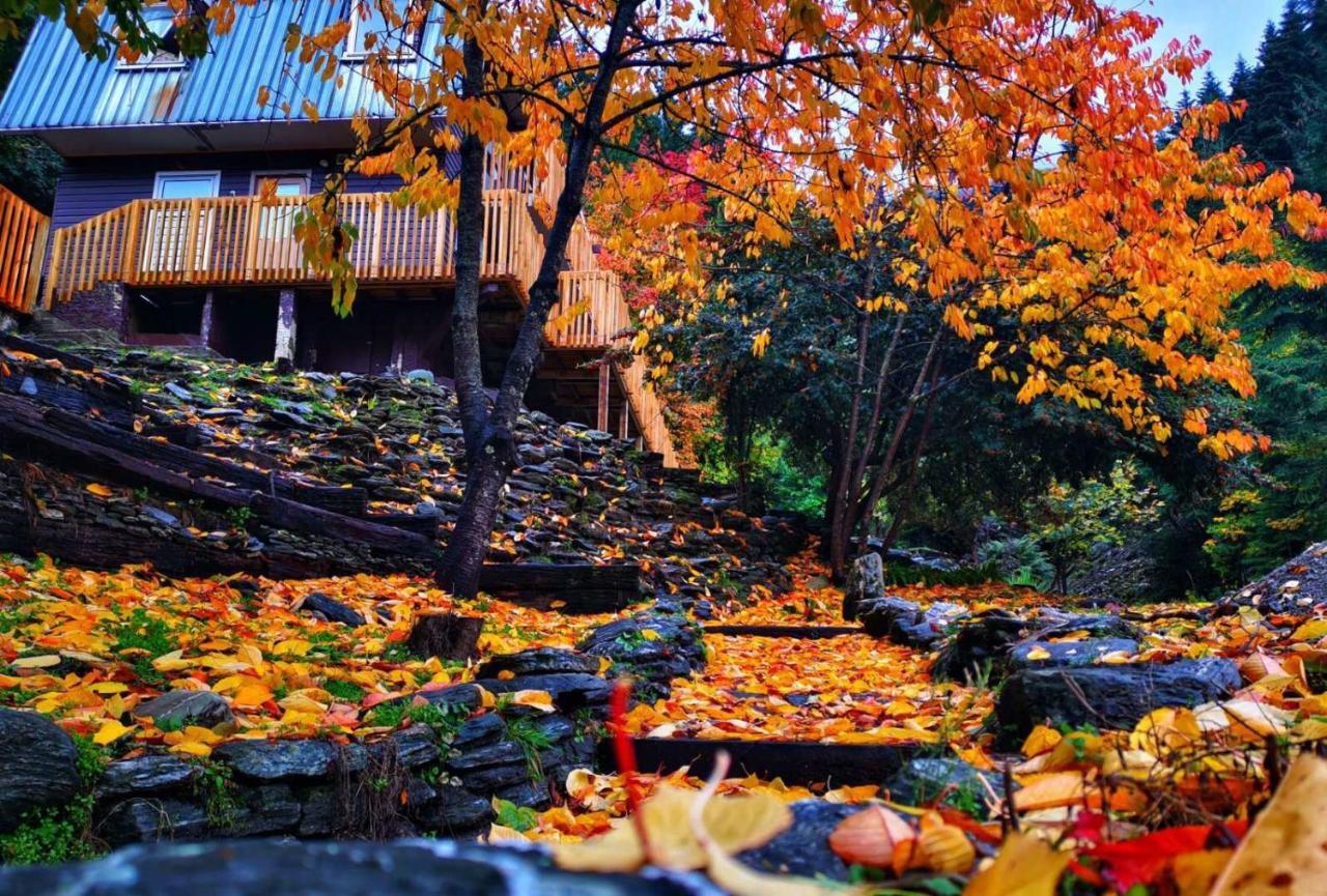 Mountain Creek Vacation Otel Queenstown Dış mekan fotoğraf